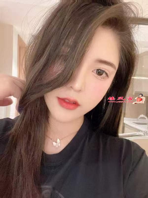 龙华清湖小懒猫